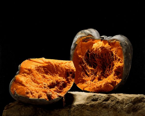 Luciano Ventrone : Zucca  - Asta Arte Moderna e Contemporanea - Associazione Nazionale - Case d'Asta italiane