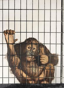 MICHELANGELO PISTOLETTO - Scimmia