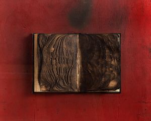 BERNARD AUBERTIN - Livre brul