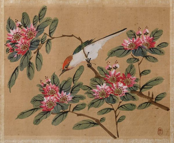 Quattro dipinti su seta raffiguranti soggetti naturalistici con uccellini tra i rami, Cina, XX secolo  - Asta Asian Art - Associazione Nazionale - Case d'Asta italiane
