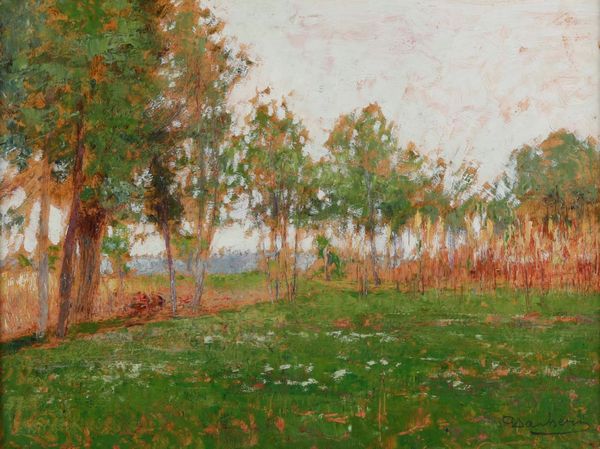 Giuseppe Sacheri : Granturco in sole  - Asta Dipinti del XIX e XX secolo - Associazione Nazionale - Case d'Asta italiane