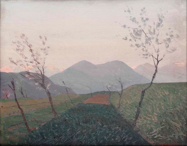 Oreste Albertini : Campi a Besano  - Asta Dipinti del XIX e XX secolo - Associazione Nazionale - Case d'Asta italiane