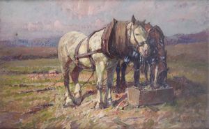 Alessandro Lupo - Cavalli