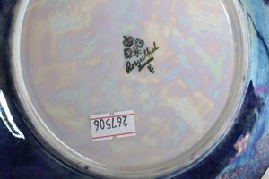 Servizio da dessert<BR>Germania, Manifattura Rosenthal, XX secolo  - Asta Arredo per la tavola - Associazione Nazionale - Case d'Asta italiane