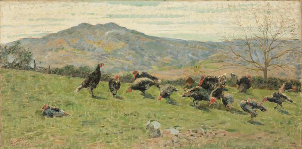 Niccolò Cannicci : Tacchini sul prato  - Asta Importanti Dipinti e Arredi Antichi - Associazione Nazionale - Case d'Asta italiane