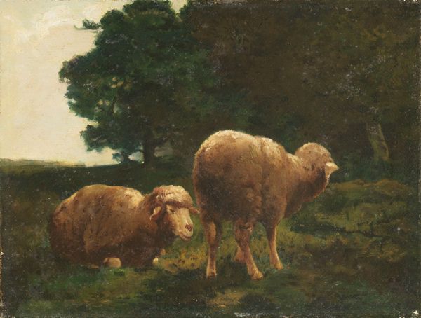 Charles Jacques : Armenti  - Asta Importanti Dipinti e Arredi Antichi - Associazione Nazionale - Case d'Asta italiane