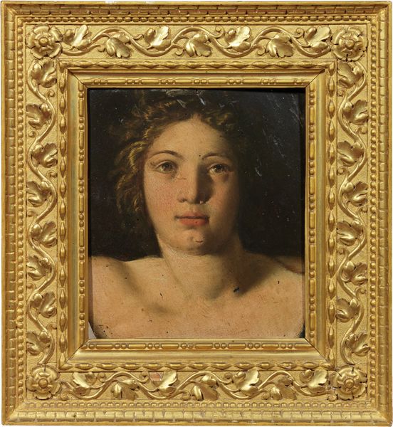 Girolamo da Carpi (attr. a) : Testa di fanciullo  - Asta Importanti Dipinti e Arredi Antichi - Associazione Nazionale - Case d'Asta italiane