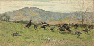 Niccolò Cannicci - Tacchini sul prato