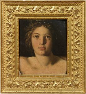 Girolamo da Carpi (attr. a) - Testa di fanciullo