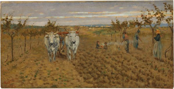 Niccolò Cannicci : Aratura  - Asta Dipinti e Sculture del XIX e XX secolo - Associazione Nazionale - Case d'Asta italiane