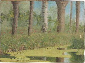 Federico Andreotti - Alberi