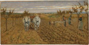 Niccolò Cannicci - Aratura