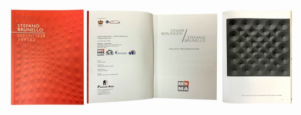 Stefano Brunello : Struttura radiale  - Asta Arte Moderna e Contemporanea - Associazione Nazionale - Case d'Asta italiane