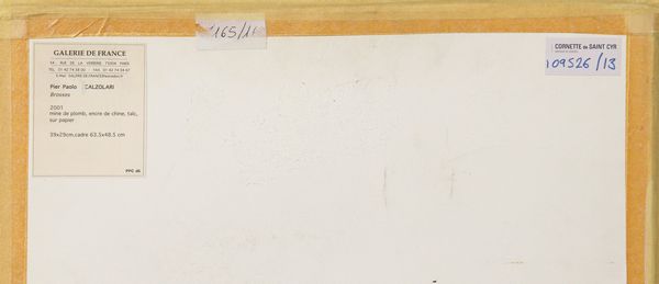 Pier Paolo Calzolari : Brosses  - Asta Arte Moderna e Contemporanea - Associazione Nazionale - Case d'Asta italiane
