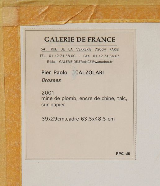 Pier Paolo Calzolari : Brosses  - Asta Arte Moderna e Contemporanea - Associazione Nazionale - Case d'Asta italiane