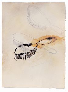 Pier Paolo Calzolari - Brosses