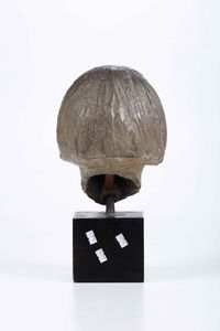 Francesco Falcone : Testa di fanciulla  - Asta Scultura del XIX e XX secolo - Associazione Nazionale - Case d'Asta italiane