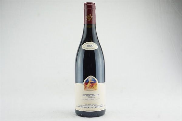 Échézeaux Domaine Georges Mugneret-Gibourg 2009  - Asta IL SIGNIFICATO DELLA PASSIONE - Vini Pregiati e da Collezione - Associazione Nazionale - Case d'Asta italiane