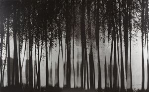 FONTANA FRANCO (n. 1933) - Senza titolo.