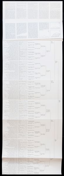 CARLA VASIO, : Romanzo storico  - Asta Arte moderna e contemporanea - Associazione Nazionale - Case d'Asta italiane