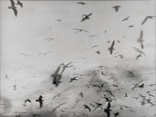 Mario Giacomelli : senza titolo  - Asta Arte moderna e contemporanea - Associazione Nazionale - Case d'Asta italiane