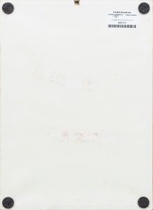 ENRICO  MANERA : Blondie, Dreaming of lucidity  - Asta Arte moderna e contemporanea - Associazione Nazionale - Case d'Asta italiane