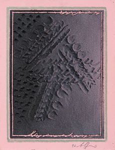 AGOSTINO  FERRARI - Percorsi