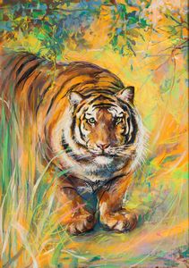 Elica BALLA - Stellina