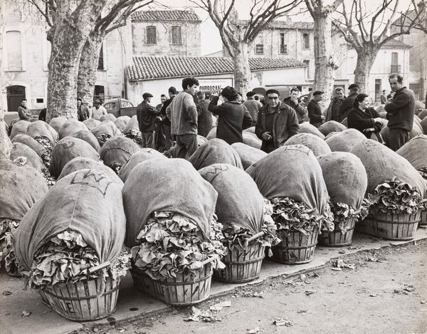 Jean Ribiére : March de laitues  Ille sur Tet  - Asta Fotografia: Under 1K - Associazione Nazionale - Case d'Asta italiane