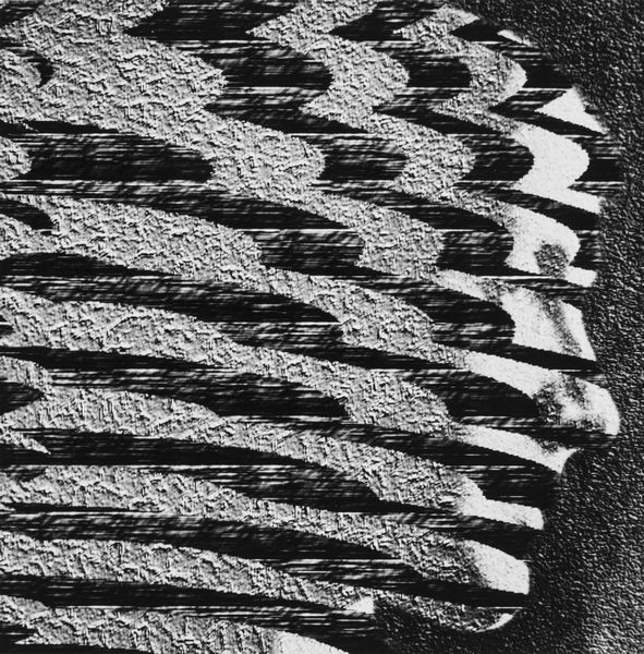 Paul Thorel : Senza titolo  - Asta Fotografia: Under 1K - Associazione Nazionale - Case d'Asta italiane