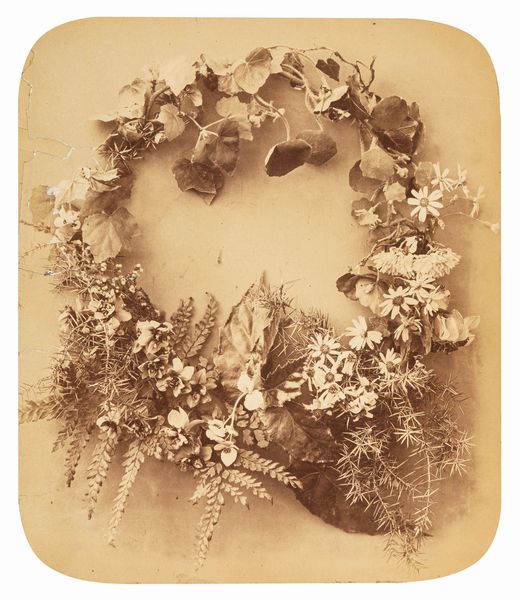 Adolphe Braun : Senza titolo (Fiori)  - Asta Fotografia: Under 1K - Associazione Nazionale - Case d'Asta italiane