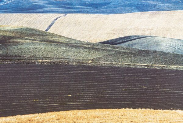 Franco Fontana : Paesaggio  - Asta Fotografia: Under 1K - Associazione Nazionale - Case d'Asta italiane