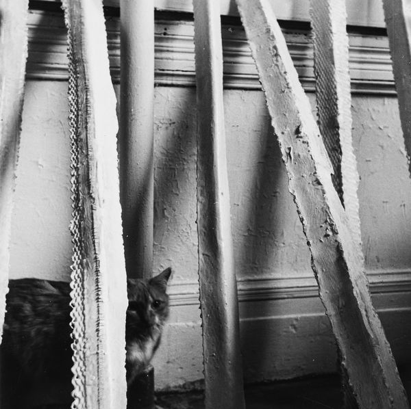 Piero Gilardi, : Wind Tables ; I corners di Alice Adams nel suo studio  - Asta Fotografia: Under 1K - Associazione Nazionale - Case d'Asta italiane