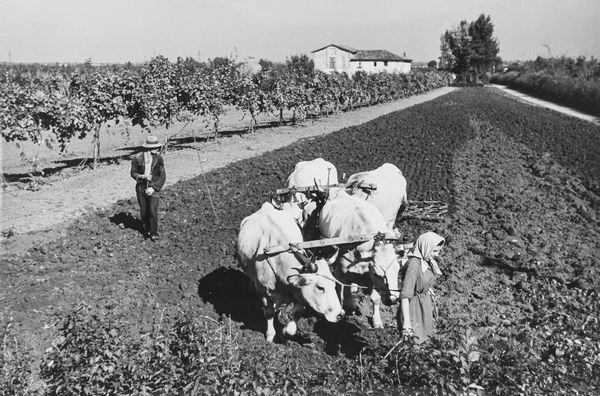 Riccardo Moncalvo : Campagna  - Asta Fotografia: Under 1K - Associazione Nazionale - Case d'Asta italiane