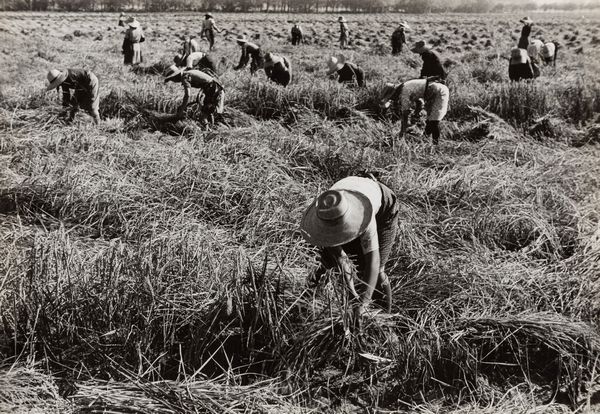 Riccardo Moncalvo : Tempo di mietitura  - Asta Fotografia: Under 1K - Associazione Nazionale - Case d'Asta italiane