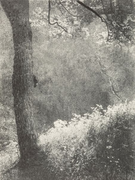 Domenico Riccardo Peretti Griva : Primavera sul monte (Gressoney), Valle dAosta  - Asta Fotografia: Under 1K - Associazione Nazionale - Case d'Asta italiane