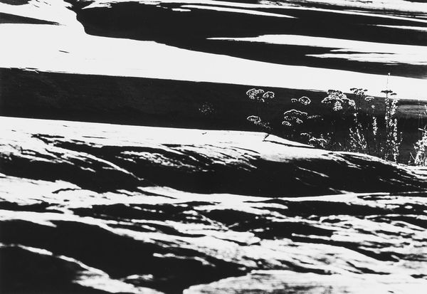 FULVIO ROITER : Senza titolo (Astrazione)  - Asta Fotografia: Under 1K - Associazione Nazionale - Case d'Asta italiane