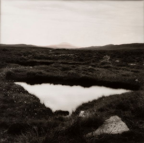 Sally Gall : Senza titolo  - Asta Fotografia: Under 1K - Associazione Nazionale - Case d'Asta italiane