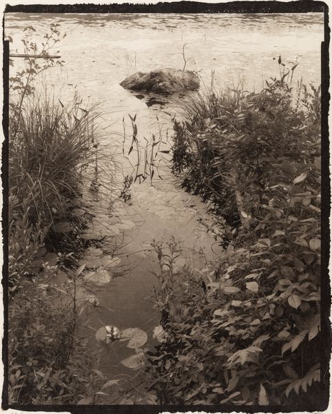 Koichiro Kurita : Loom Meadow  - Asta Fotografia: Under 1K - Associazione Nazionale - Case d'Asta italiane