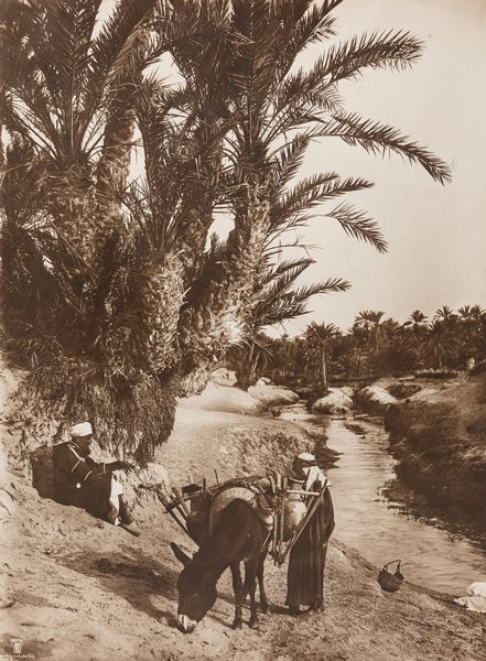 Rudolf Lehnert, : Tunis  - Asta Fotografia: Under 1K - Associazione Nazionale - Case d'Asta italiane
