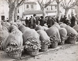 Jean Ribiére - March de laitues  Ille sur Tet