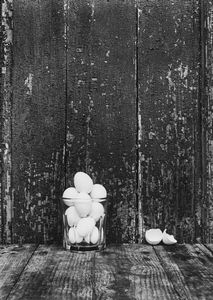 Jean-Pierre Sudre - Le lys Annonciation, dalla serie Portfolio n. II