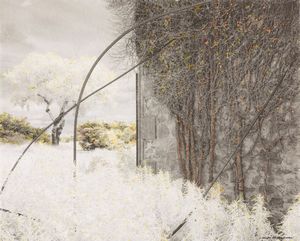 Claudio Argentiero - Camargue