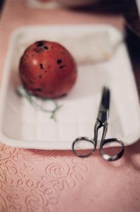 Silvia Camporesi - Senza titolo (Natura morta)