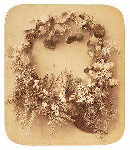 Adolphe Braun - Senza titolo (Fiori)