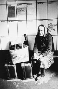 Tano D'Amico - Senza titolo