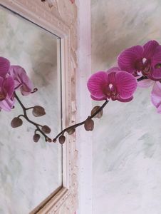 Ken Damy - Senza titolo