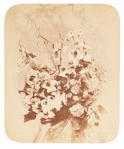 Adolphe Braun - Senza titolo (Fiori)