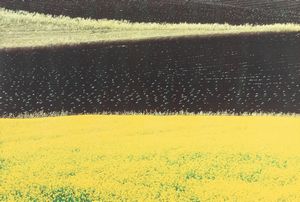 Franco Fontana - Paesaggio