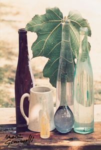 Mario Giacomelli - Natura morta